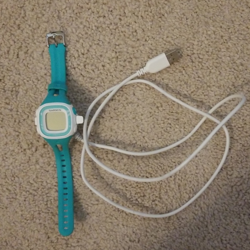 Garmin Forerunner 10